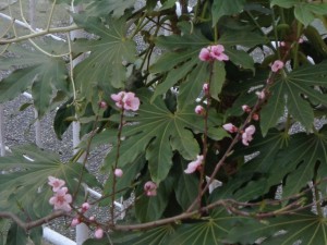 DSC00158