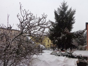 雪的 5 二月 2015