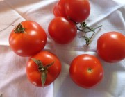 I COLORI IN CUCINA: rosso come il pomodoro, bianco come la ricotta, verde come gli spinaci