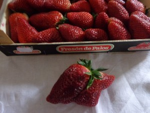 FRAGOLE SPAGNOLE