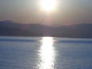 12 alba-Avril 2015