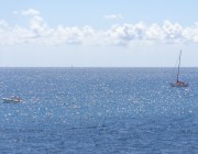MARE – Poesia di Maurizio Falbo