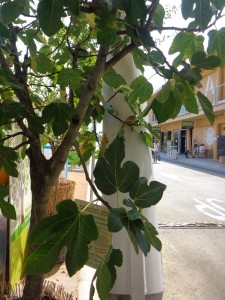 1 - Expo MI 16 luglio 2015
