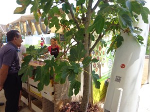 2 - EXPO Milano - 16 luglio 2015