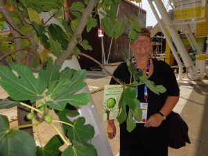 Angela Battaglia EXPO Milano 16 luglio 2015