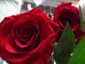 -Happy Valentine's Day to Comunicazuone Readers and Forms