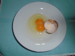 -1-Il primo uovo con due tuorli - 9 März 2016