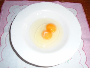 -4-An egg with two yolks opened IL13 March 2016