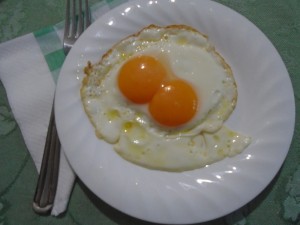 the egg with two tuorl- 10 April 2016