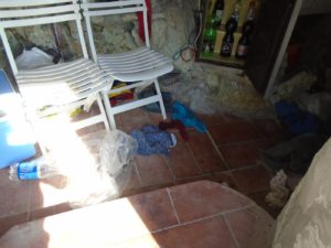 6-disordine
