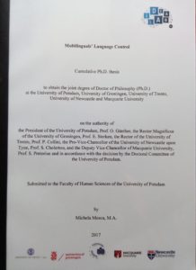 Copertina Tesi Dottorato