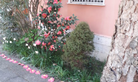 Il giardino di Lena e Miriam